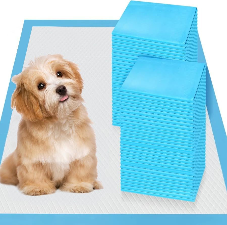 GoofyPet™ Premium Puppy Pads (100 Pack, 22"x22")