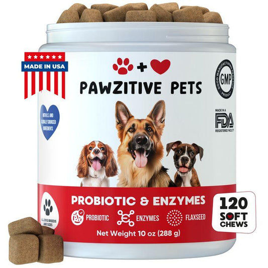 Pawzitive Pets Probiotic Chews for Dogs – Digestive & Immune Support with Natural Enzymes for Gut Health and Itchy Skin Relief