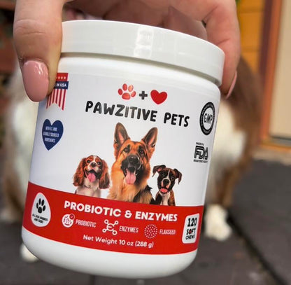 Pawzitive Pets Probiotic Chews for Dogs – Digestive & Immune Support with Natural Enzymes for Gut Health and Itchy Skin Relief