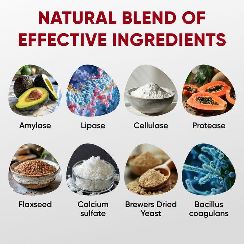 Pawzitive Pets Probiotic Chews for Dogs – Digestive & Immune Support with Natural Enzymes for Gut Health and Itchy Skin Relief