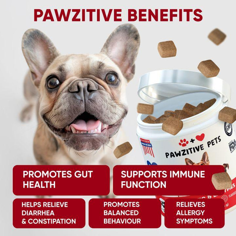 Pawzitive Pets Probiotic Chews for Dogs – Digestive & Immune Support with Natural Enzymes for Gut Health and Itchy Skin Relief