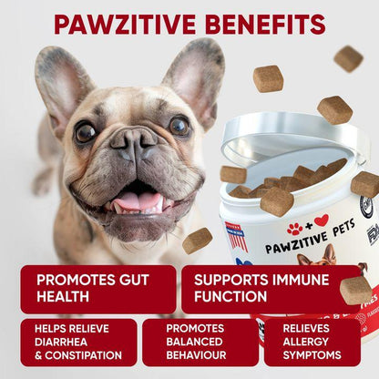 Pawzitive Pets Probiotic Chews for Dogs – Digestive & Immune Support with Natural Enzymes for Gut Health and Itchy Skin Relief