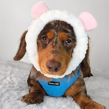 Adjustable Teddy Fabric Dog Harness - Electric Blue