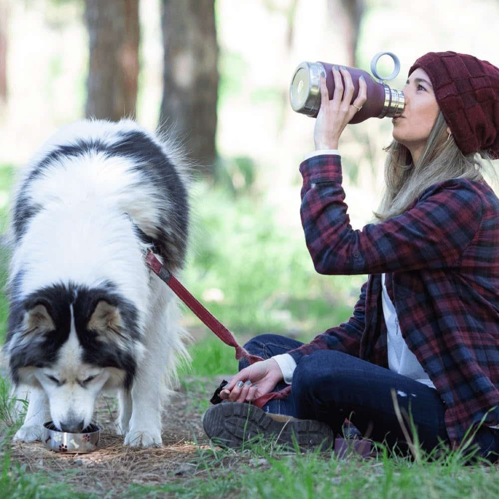 Buddy Bottle – Insulated Dog Water & Food Bottle