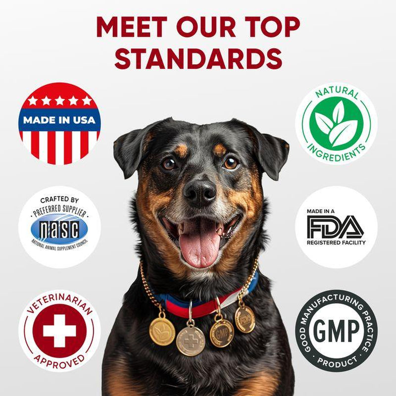 Pawzitive Pets Probiotic Chews for Dogs – Digestive & Immune Support with Natural Enzymes for Gut Health and Itchy Skin Relief