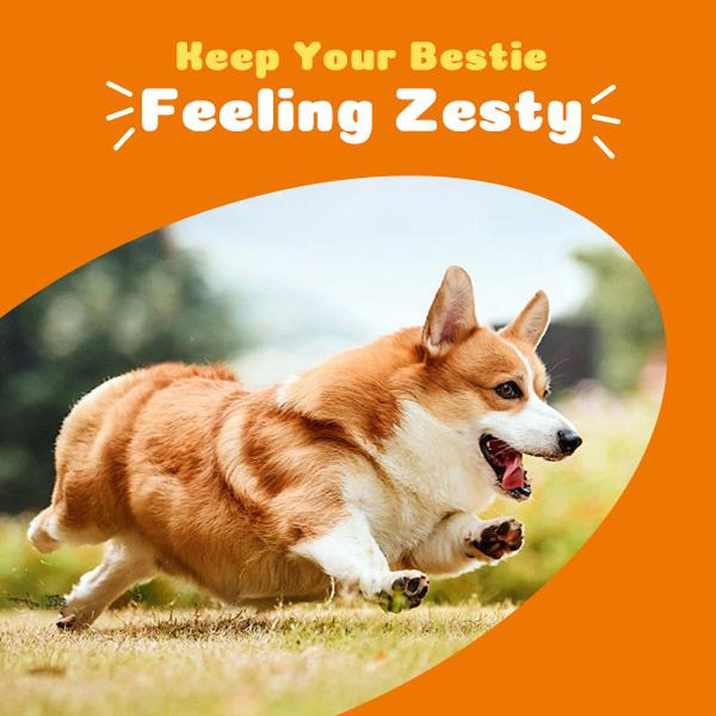 PetDaddy 300GXXL Family-Size Dog Multivitamins – 120 Chews for Joint, Skin & Omega-3 Support | Formulated for Puppies & Seniors