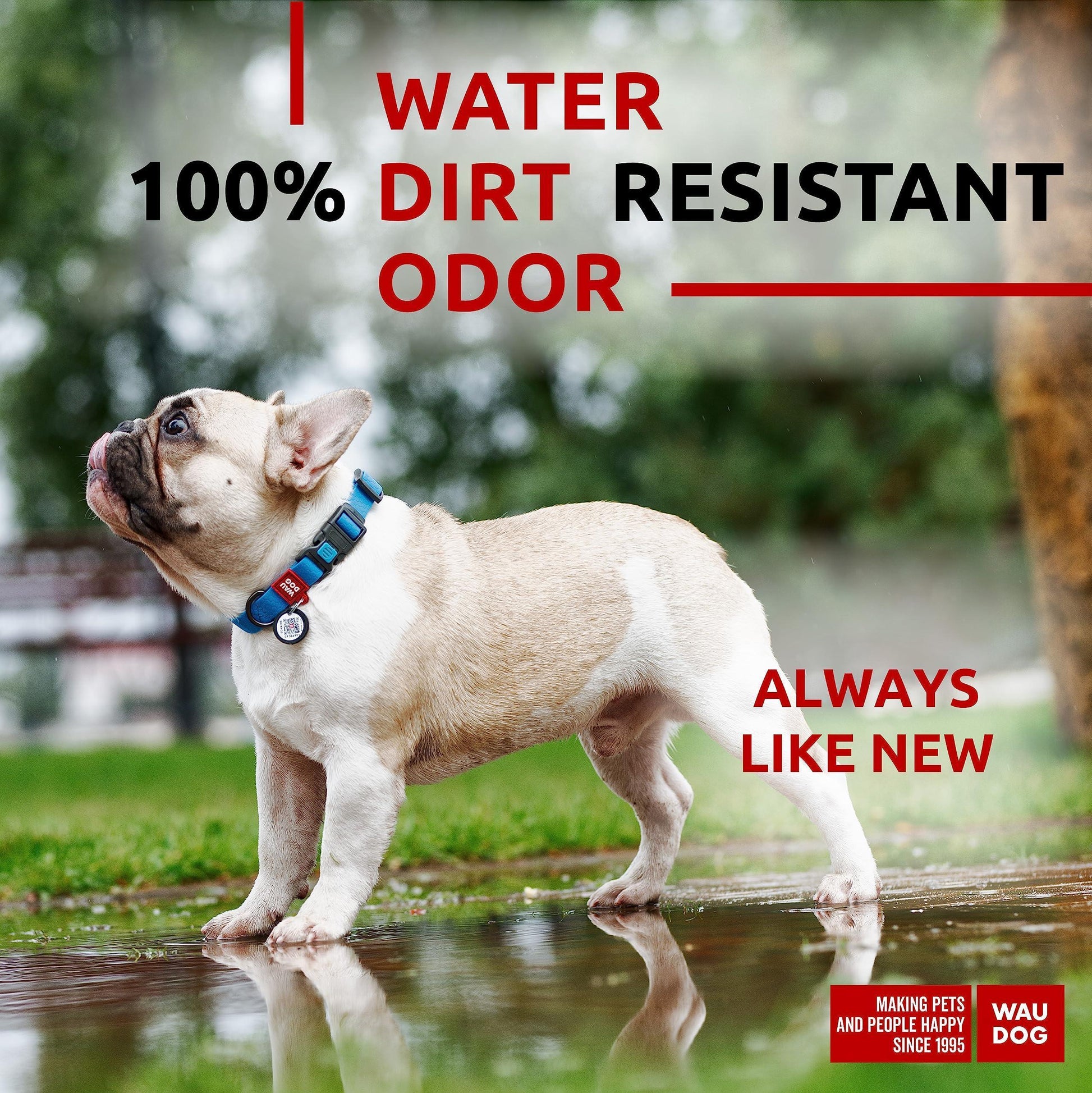 Waterproof Smart Dog Collar 